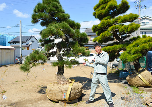 お客様の目で、地域の気候にあった植木の選定が可能