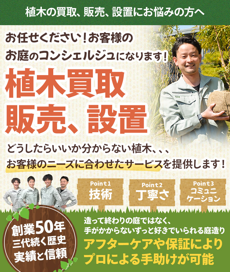 植木買取、販売、設置