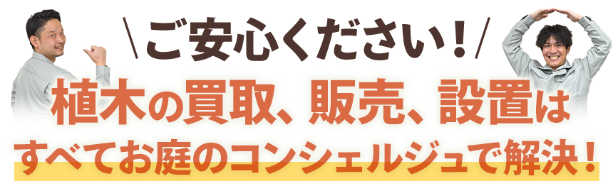 植木の買取、販売、設置はすべてお庭のコンシェルジュで解決！